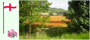 England 1