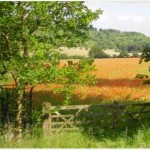 England