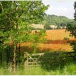 England