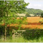 England