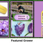 Grown in England Featured Grower 1