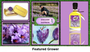 Grown in England Featured Grower 1