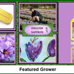 Grown in England Featured Grower 1