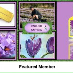 Grown in England Featured Member 1