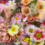 Grown in England Maddocks Farm Organics 19a