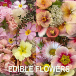 Grown in England Maddocks Farm Organics 20