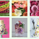 Grown in England Maddocks Farm Organics 20a