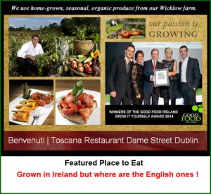 Grown in Ireland Toscana 2