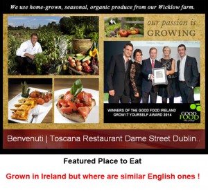Grown in Ireland Toscana 2