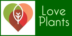 Love Plants 1