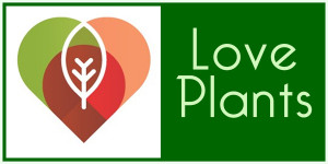 Love Plants 2