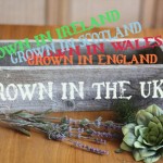 Grown in the UK