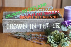 Grown in the UK
