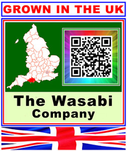 Wasabi 8