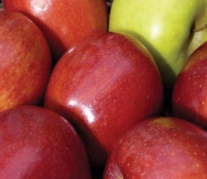 apples