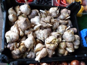 Welsh Garlic