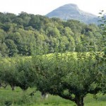 Skirrid1