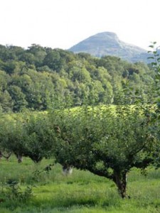 Skirrid1