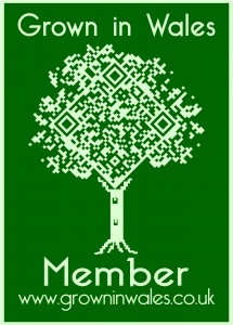 GIWTREE1