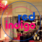 Grown in the UK Red Indigo 1