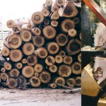 Grown in England Certainly Wood 4