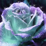 Untitled-3
