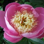 Untitled-3