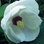 Untitled-11