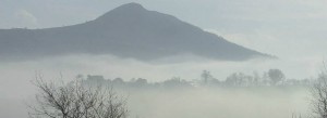 Untitled-2
