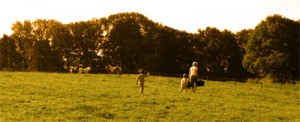 Untitled-6