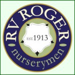 Grown in England RV Roger 1