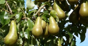 13thSeptember2012 005