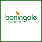 Grown in England Boningale Nurseries 1