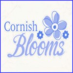 Grown in England Cornish Blooms 1