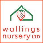 Grown in England Wallings Nursery 3