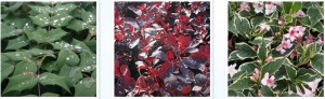 Untitled-3