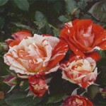 Untitled-4