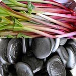 Featured Grower