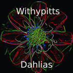 Withypitts 1A