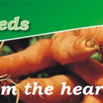 Terwins Seeds 1