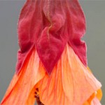 Untitled-10
