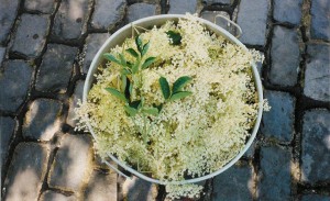 Untitled-2
