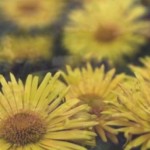 Untitled-8