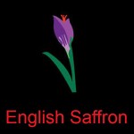 Grown in England English Saffron 8