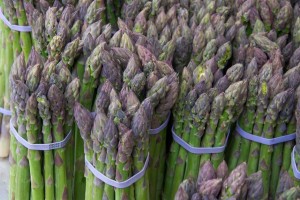 Grown in England Hargreaves Plants 2