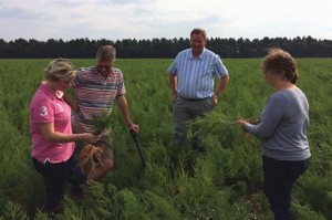 Grown in England Hargreaves Plants 3