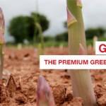 Grown in England Hargreaves Plants 4