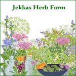 Grown in England Jekkas Herb Farm 1