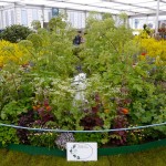 Grown in England Jekkas Herb Farm 3