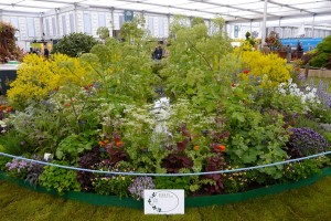 Grown in England Jekkas Herb Farm 3